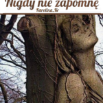 Nigdy nie zapomnę//One shot-Newt Scamander